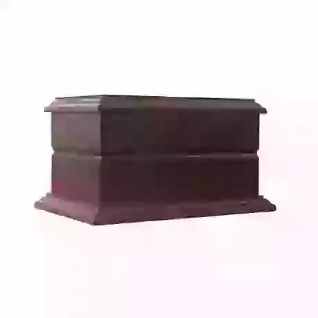 Dark Mahogany Wooden Casket for Cats